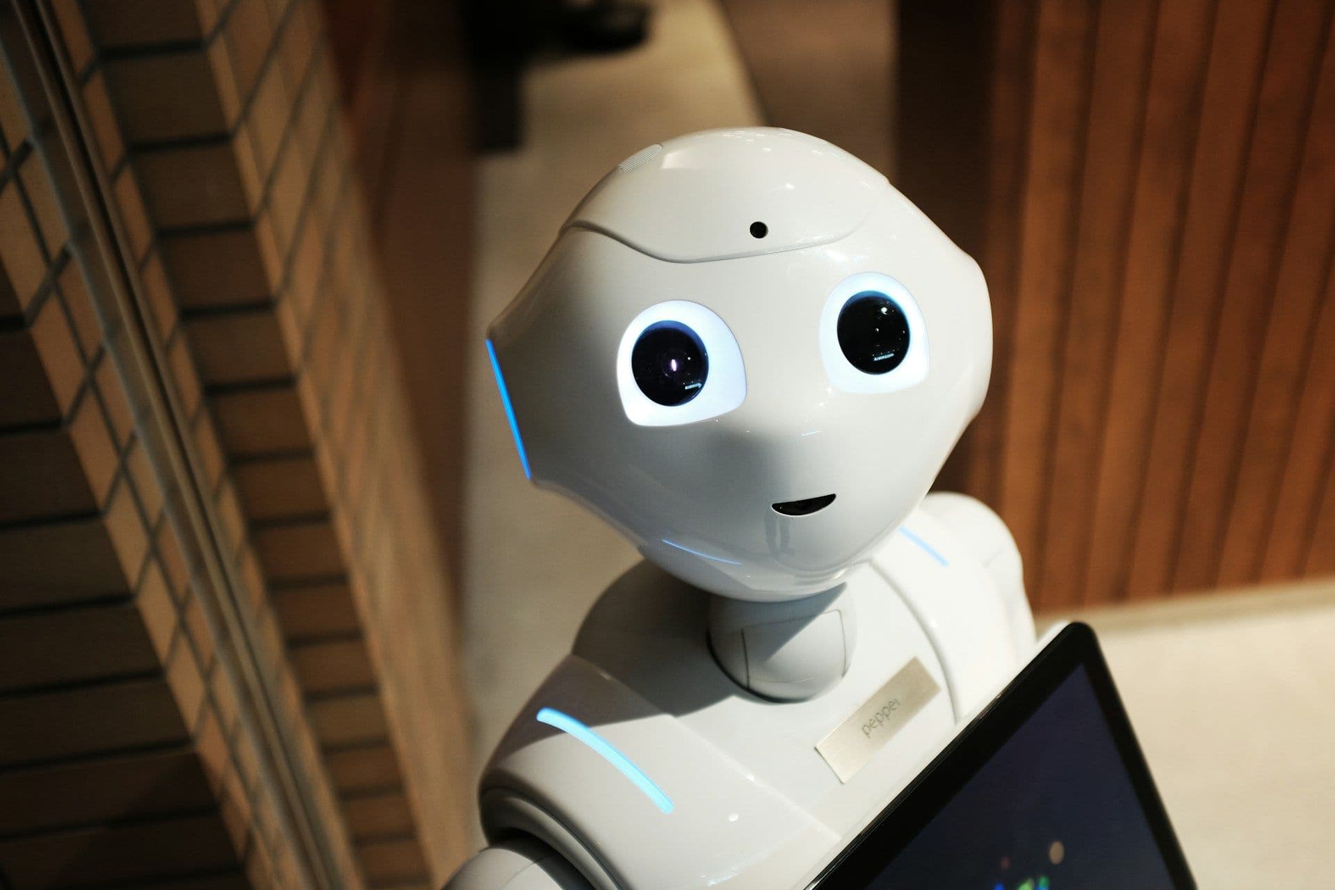 Serving robot